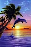 Dolphin Sunrise - Inspirational Posters - 24 x 36