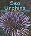 Sea Urchins (Ocean Life) by Lola M. Schaefer