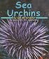 Sea Urchins (Ocean Life)