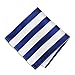TieMart Royal Blue and White Striped Pocket Square