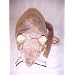 Ty Beanie Babies - Tiptoe the Rat