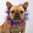 Aria Patriotic Dog Scrunchies