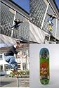 Skateboard Skatedeck Grip Achsen Rollen Alles komplett
