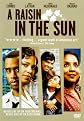 A Raisin in the Sun (Widescreen)