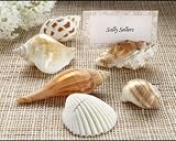 Shells by the Sea Authentic Shell Placecard Holders with Matching Placecards