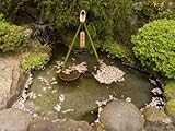 Cherry Blossom Petals in Water Fountain, Kamakura City, Kanagawa Prefecture, Honshu Island, Japan Stretched Canvas Poster Print by Christian Kober, 18x24