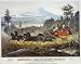 CALIFORNIA & OREGON STAGE COMPANY U.S. MAIL MOUNT SHASTA 1870 ADV 24