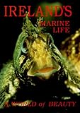 Ireland's marine life : a world of beauty