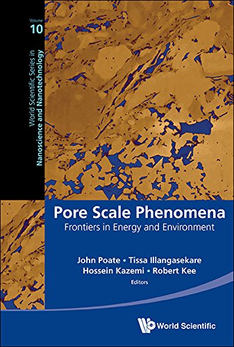 Pore Scale Phenomena:Frontiers in Energy and Environment (World Scientific Series in Nanoscience and Nanotechnology)