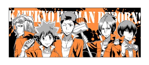 Cover image : 家庭教師ヒットマンREBORN！  リボーンペイントマグカップ