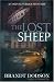 The Lost Sheep (Colton Parker Mystery Series, Book 4)