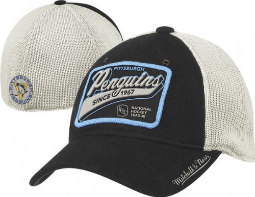 Pittsburgh Penguins Mitchell & Ness Vintage Patch Logo Meshback Flex Fit Hat