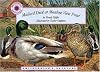 Mallard Duck at Meadow View Pond (Smithsonian's Backyard)