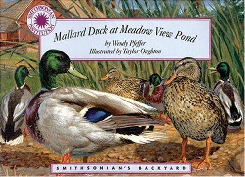 Mallard Duck Meadow View Pond (Smithsonians Backyard) (Smithsonian's Backyard)