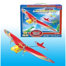 220 Salangane 2CH RTF Electric Remote Control RC Airplane (Color May Vary) from Toy RC Airplanes