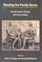 Reading the Family Dance: Family Systems Therapy and Literary Study