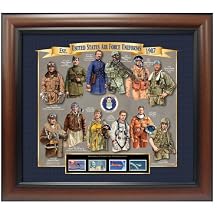 Air Force Evolution Framed Art