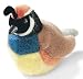 California Quail - Audubon Plush Bird (Authentic Bird Sound)