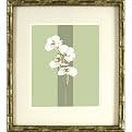 Bamboo on Sage B Wall Art - 16x18"