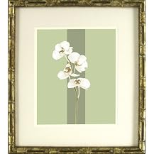 Bamboo on Sage B Wall Art - 16x18"