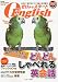 �������饹������ English (���󥰥�å���) 2009ǯ 10��� [����]