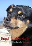 Rund um den Hund: Ein kleiner Ratgeber