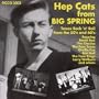 Hep Cats from Big Springs