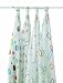 Aden & Anais 100% Cotton Muslin Swaddle Wrap, Alpha Bit, 4 Pack