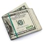 Hundred Dollar Bill Wallet