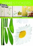 Home Stickers Daisies Decorative Wall Stickers