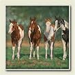 Absorbastone Pint Size Paints ~ Artworks Home Accents ~ Trivet