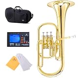 Cecilio 2Series AH-280 Lacquer Eb Alto Horn with Stainless Steel Valves, Gold