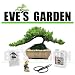 Amazon Special Bonsai Tree Gift Kit - 8 Year Old Japanese Juniper in a 8 inch Ceramic Container, Bon