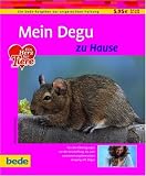 Mein Degu zu Hause