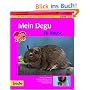 Degu, zu Hause