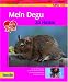Mein Degu zu Hause