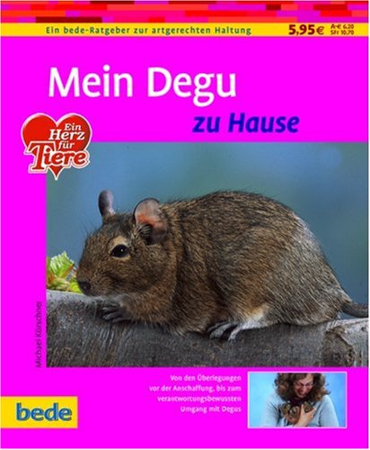 Mein Degu zu Hause