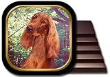 Irish Setter Coaster Set