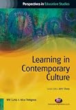 Learning in Contemporary Culture (Perspectives in Education Studies)
