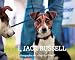 Image of I, Jack Russell: A Photographer and a Dog's Eye View