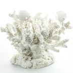 Coral Decoration