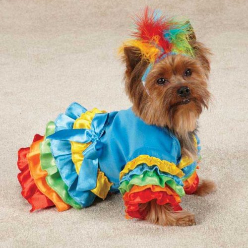 Halloween Costumes For Toy Breed Dogs