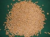 SLOW RELEASE FERTILISER - MULTICOTE 6 - 1Kg