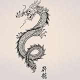 Vinyl Wall Decal Sticker Chinese Asian Dragon 21