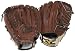 Mizuno Prospect Series GPP1001 10.00-Inch Youth Baseball Glove