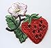 Single Strawberry with White Flower Blossum Iron on Embroidered Patch