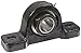 Link-Belt PU323 Ball Bearing Pillow Block, 2 Bolt Holes, Heavy-Duty, Relubricatable, Non-Expansion, Cast Iron, Setscrew Locking Collar, Inch, 1-7/16" Bore Diameter