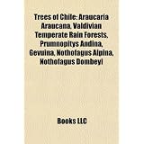Trees of Chile: Araucaria Araucana, Valdivian Temperate Rain Forests, Prumnopitys Andina, Gevuina, Nothofagus Alpina, Nothofagus Dombe