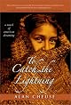 To Catch the Lightning: A Novel of American Dreaming