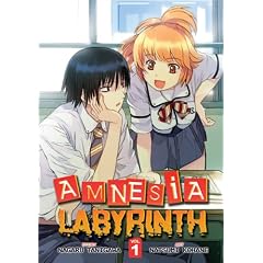 Amnesia Labyrinth, Vol. 1 by Nagaru Tanigawa and Natsumi Kohane